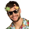 Hawaii Partybriller