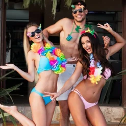 Hawaii Partybriller