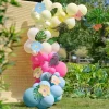 Hawaii Tiki Ballongbue