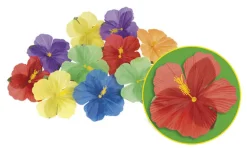 Hawaiiblomster