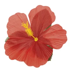 Hawaiiblomster