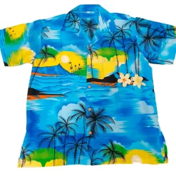 Hawaiiskjorte Blå