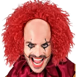 Horror Klovn Parykk & Panne