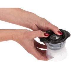Iskuleform