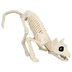 Katt Skjelett