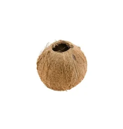 Kokosnøttskall