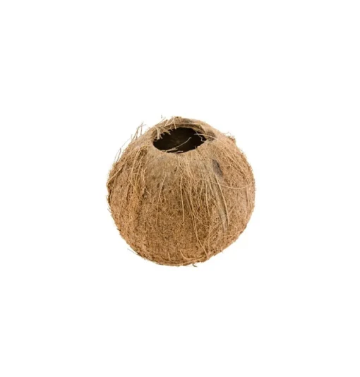 Kokosnøttskall
