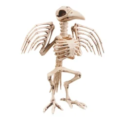 Kråke Skjelett