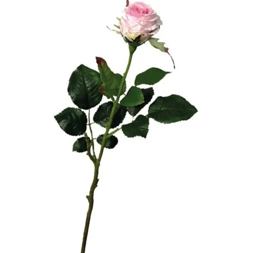 Kunstig Elena Rose Lyserosa