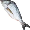 Kunstig Fisk