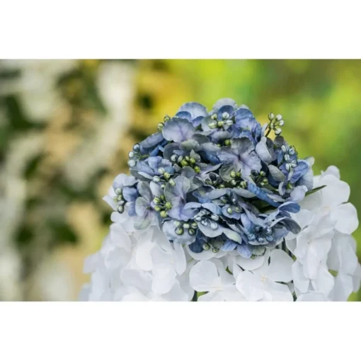 Kunstig Hortensia Gren med Knopper Blå