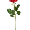 Langstilket Rød Rose