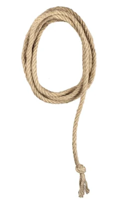 Lasso Tau