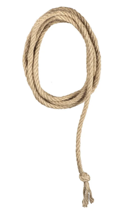 Lasso Tau