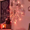 LED Spindelvev