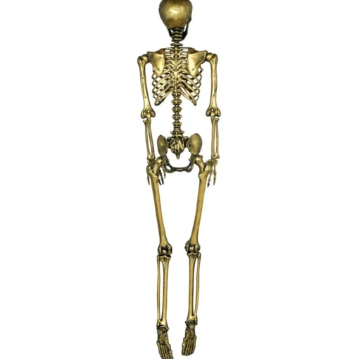 Lifesize Skjelett Gull