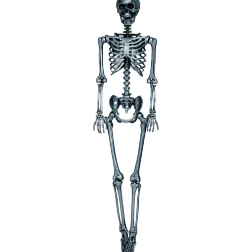Lifesize Skjelett Sølv