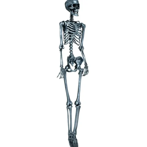 Lifesize Skjelett Sølv