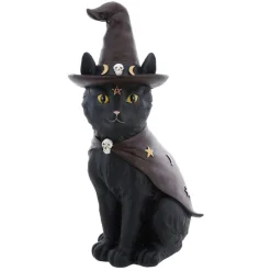 Magisk Katt
