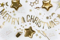Merry Christmas Girlander Gull