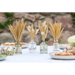Mini Stipete Glassvase Gjennomsiktig