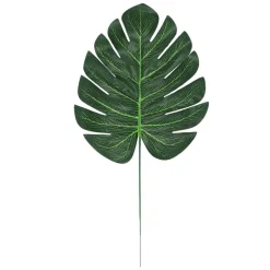 Monstera Palmeblader