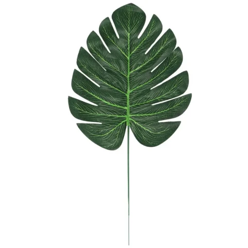 Monstera Palmeblader