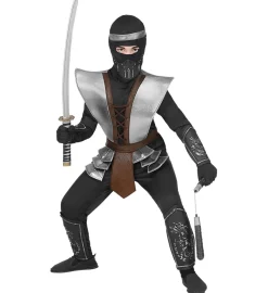 Ninja Mester Barnekostyme