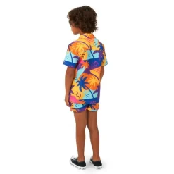 Opposuits® Palm Power Barn Sommersett
