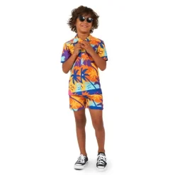 Opposuits® Palm Power Barn Sommersett