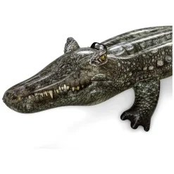 Oppustelig Krokodille Badedyr