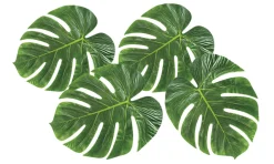 Palmeblad Dekorasjon