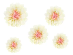 Papirblomster Kremhvit og Lyserosa