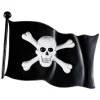 Plast Piratflagg