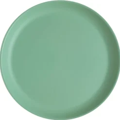 Premium Plasttallerkener Grønn