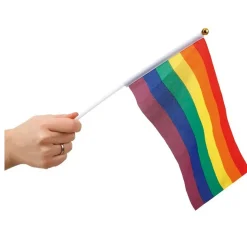 Pride Flagg med Pinne