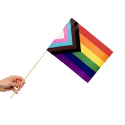 Progress Pride Flagg på Pinne