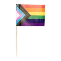 Progress Pride Flagg på Pinne