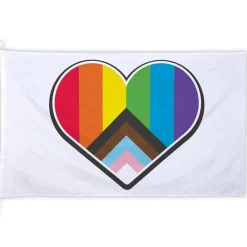 Progress Pride Hjerte Flagg