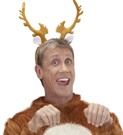 Reinsdyrgevir