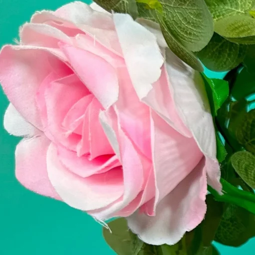 Rose Girlander Lyserosa