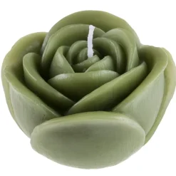 Rose Lys Grønn