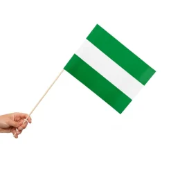 Rotterdam Flagg på Pinne