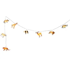 Safari Lyskjede