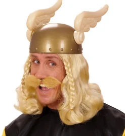 Schnauzer Skjegg Blondt