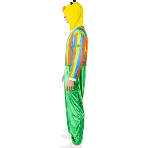 Sesame Street® Bert Kostyme