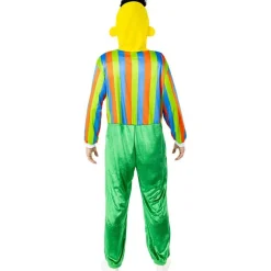 Sesame Street® Bert Kostyme