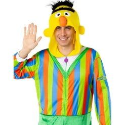 Sesame Street® Bert Kostyme