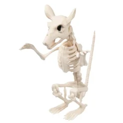 Sittende Rotte Skjelett