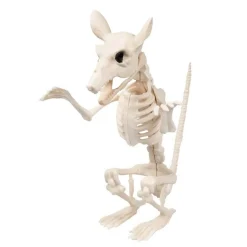 Sittende Rotte Skjelett